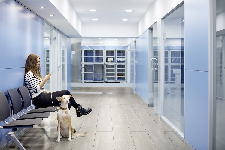 Young woman using mobile phone while sitting with dog in veterinary clinic. Female is with her pet at animal hospital. She is waiting for her dog to be examined by doctor.